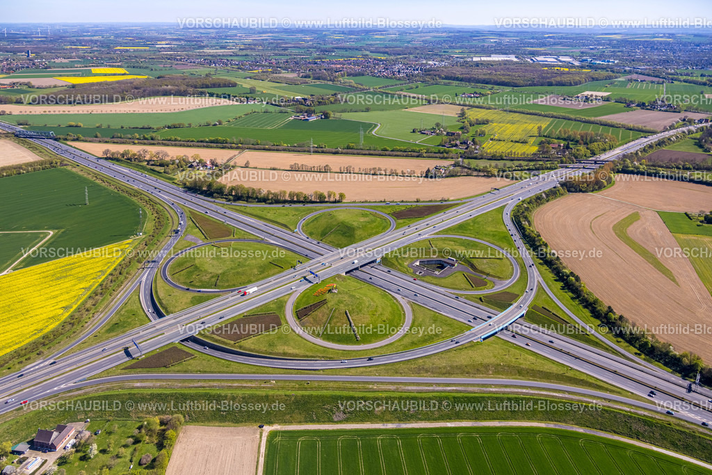 Kamen220403870Rotary | Luftbild, 20.000 Tulpen pflanzten die Kamener Rotarier am Kamener Kreuz unterhalb der ADAC-Hubschrauber-Skulptur. Sie werden in den nächsten Tagen blühen. 
Rotarys Kampf gegen die Kinderlähmung (POLIO Poliomyelitis)
Das größte Projekt, das Rotary in seiner 116-jährigen Geschichte je angepackt hat – der Kampf gegen die Kinderlähmung –, heißt PolioPlus und steht kurz vor dem Ziel: Seit 1988 gelang es mit Hilfe mächtiger Partner wie der Weltgesundheitsorganisation, den größten Teil der Welt durch massive Impfkampagnen von Polio zu befreien. Durch die großen Fortschritte der letzten Jahre rückt das Ziel in greifbare Nähe: Innerhalb der nächsten drei Jahre bis 2023 soll die Übertragungskette weltweit unterbrochen sein. , Kamen, Ruhrgebiet, Nordrhein-Westfalen, Deutschland