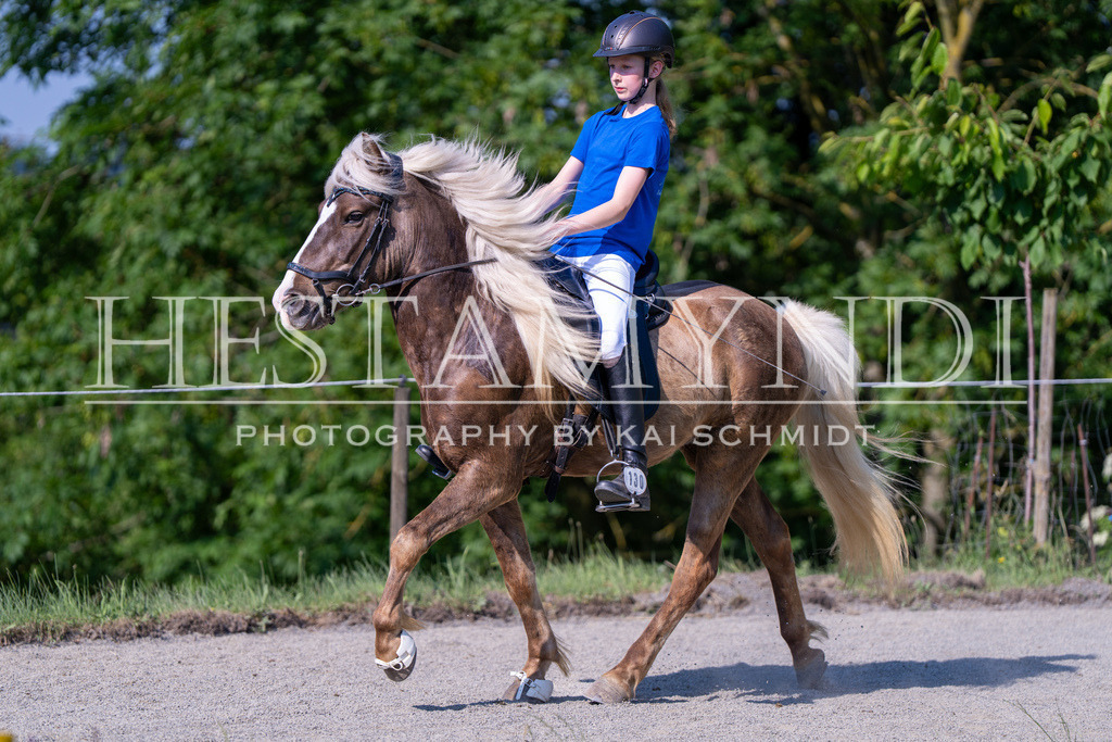KAI06942 | Ihr sucht einen Fotografen für eure nächste OSI? Ich begleite auch euer Turnier für Islandpferde fotografisch.  - Realisiert mit Pictrs.com