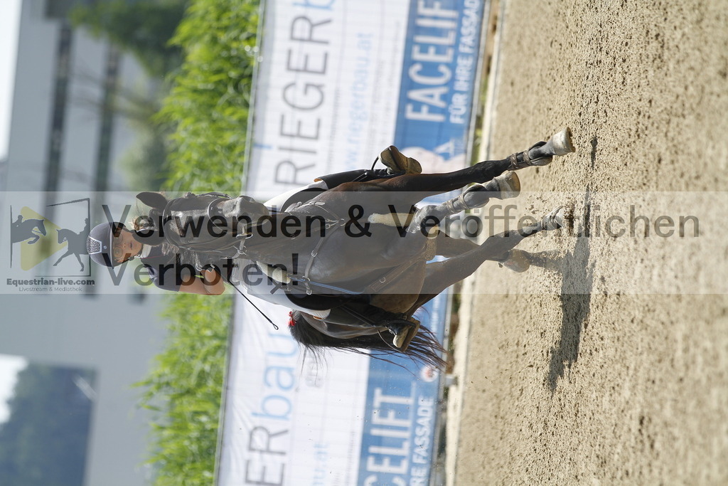 _MG_2638 | equestrian-live-com