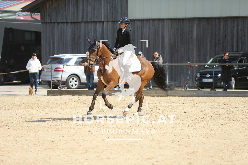 DL2Q8983 | Willkommen bei Brunnmayr - Design & Fotografie – Ihrem Spezialisten für Reitturniere und Pferdeveranstaltungen in Oberösterreich, Salzburg und Bayern! Seit über 17 Jahren sind wir leidenschaftlich dabei.