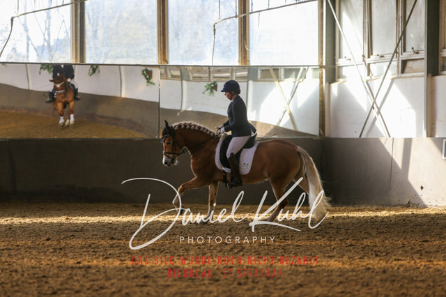 IMG_2115 | Turniersportfotografie; Pferdefotografie; Dressurfotografie