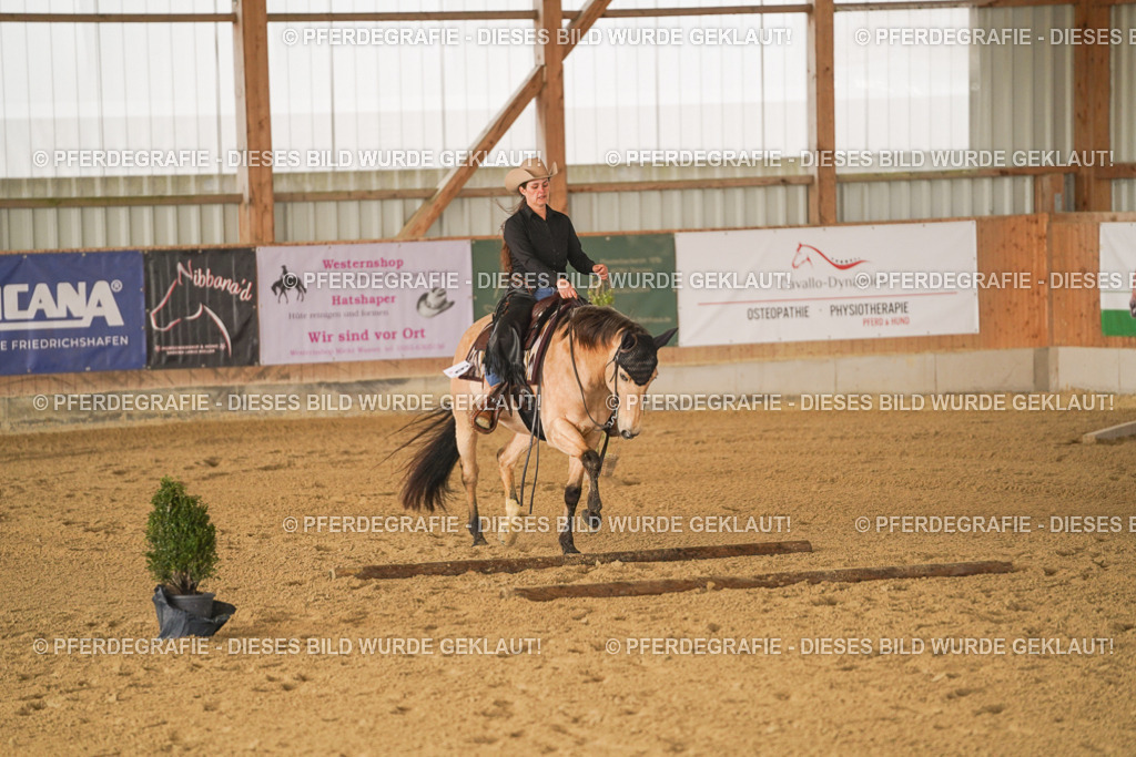 DSC01461 | Pferdegrafie