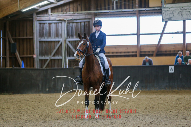 IMG_0629 | Turniersportfotografie; Pferdefotografie; Dressurfotografie