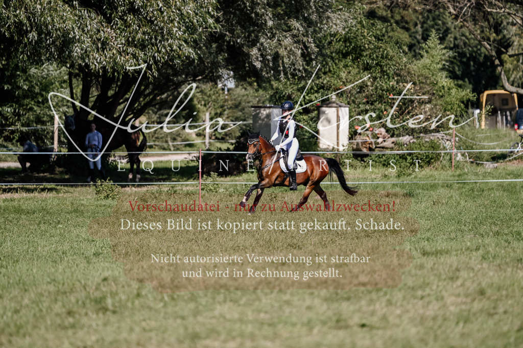 DSC_2942 | Pferde- und Turnierfotografie in Westsachsen. Pferdeportraits, Auftragszeichnungen und intuitive Kunst.