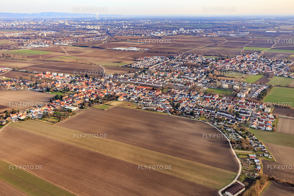 Ortsansicht aus Norden | Luftbild: Ortsansicht aus Norden im Ortsteil Flomersheim in Frankenthal im Bundesland Rheinland-Pfalz in Deutschland. Foto: IMG_130493.jpg vom 12.02.2022 durch Werner Riehm/FLY-FOTO.de - Realisiert mit Pictrs.com
