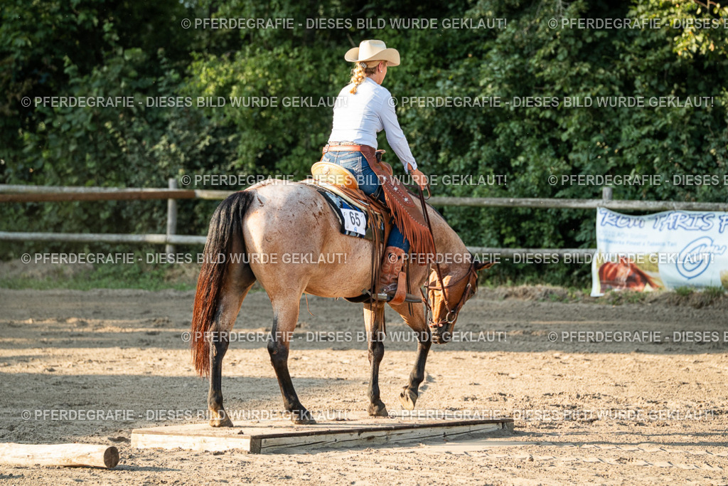 DSC06292 | Pferdegrafie