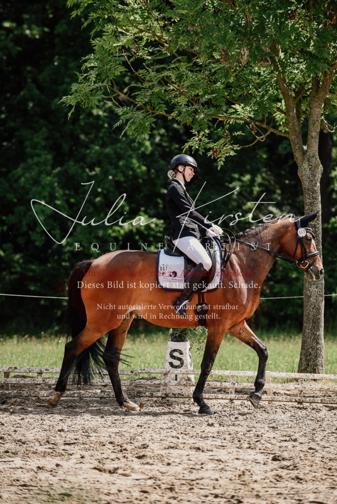 DSC_0878 | Pferde- und Turnierfotografie in Westsachsen. Pferdeportraits, Auftragszeichnungen und intuitive Kunst.