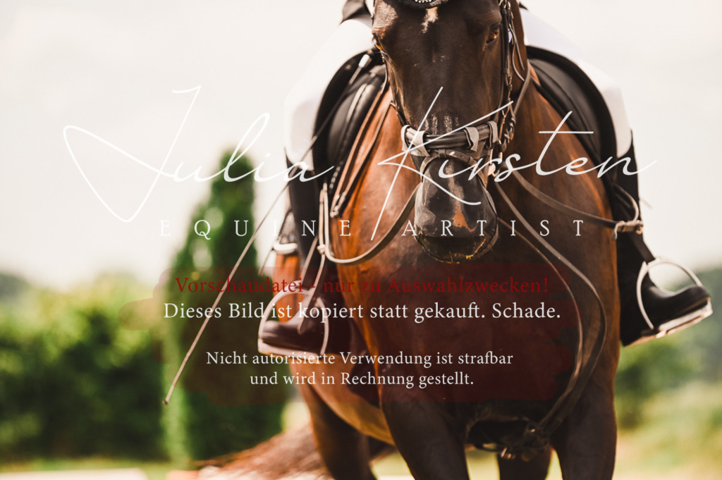 DSC_6273 | Pferde- und Turnierfotografie in Westsachsen. Pferdeportraits, Auftragszeichnungen und intuitive Kunst.