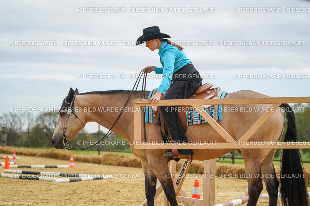 DSC03363 | Pferdegrafie