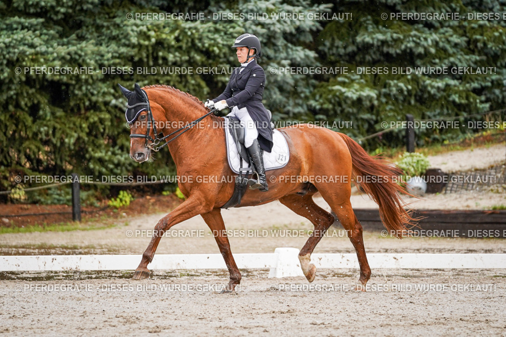 DSC09449 | Pferdegrafie