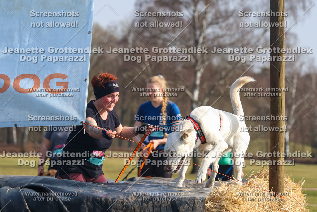 Dog Paparazzi - Strongdog North Mrz26-1915 | Dog Paparazzi Jeanette Grottendiek Fotografie & Videografie - Realisiert mit Pictrs.com
