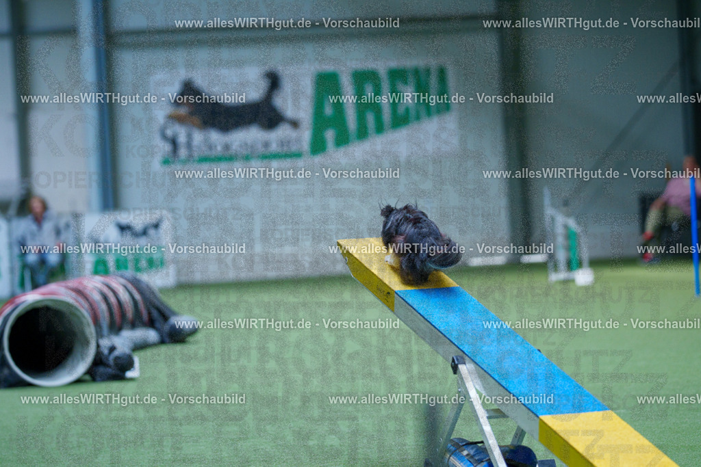 @allesWIRTHgut_Tierfotografie - www.allesWIRTHgut.de - 2604251450-7R505669 | Professionelle Tierfotografie in Mönchengladbach von Daniel Wirth (allesWIRTHgut). Liebevolle & natürliche Bilder von Hunden & Katzen für unvergessliche Erinnerungen.
