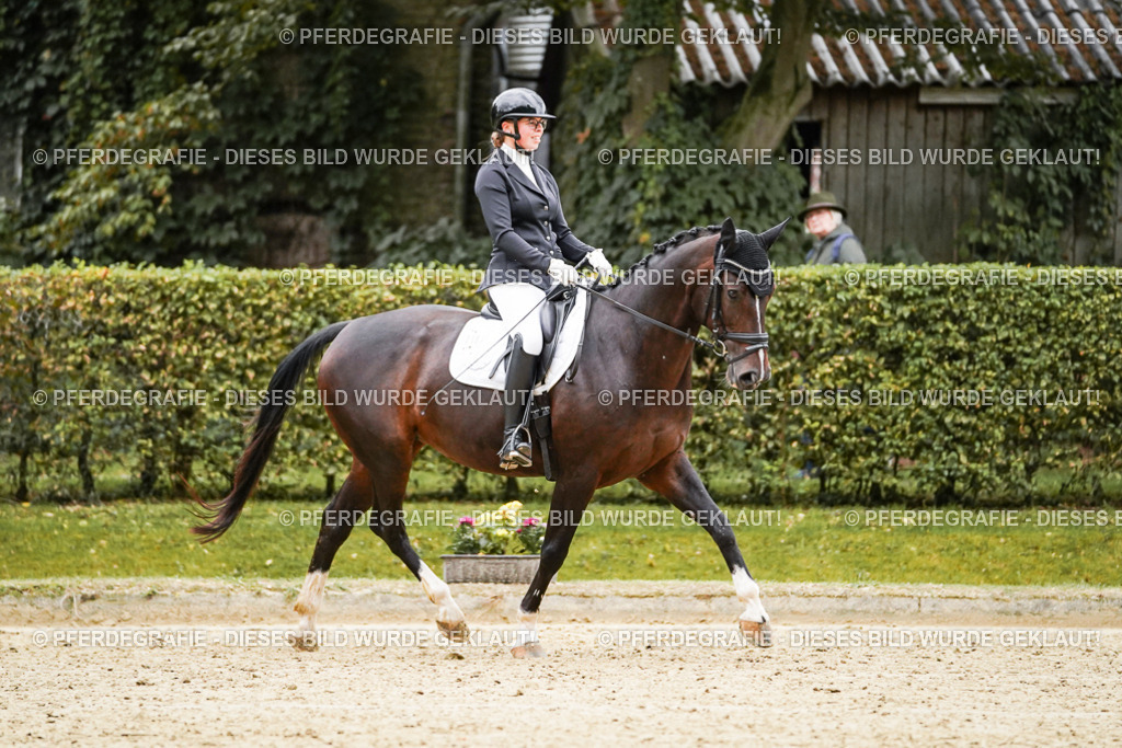 DSC06727 | Pferdegrafie