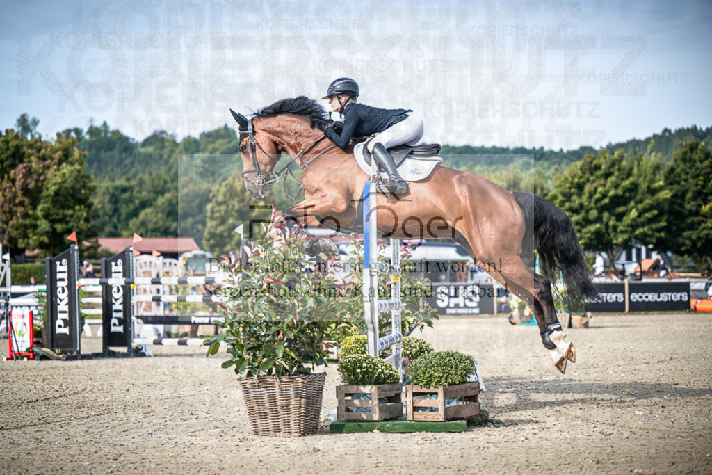 DOS_5859 | Entdecke hochwertige Reitturnierfotos von Foto Oger. Professionell, emotional und authentisch – jetzt Lieblingsmomente im Shop bestellen.Deutschlandweite Turnierfotografie. - Realisiert mit Pictrs.com