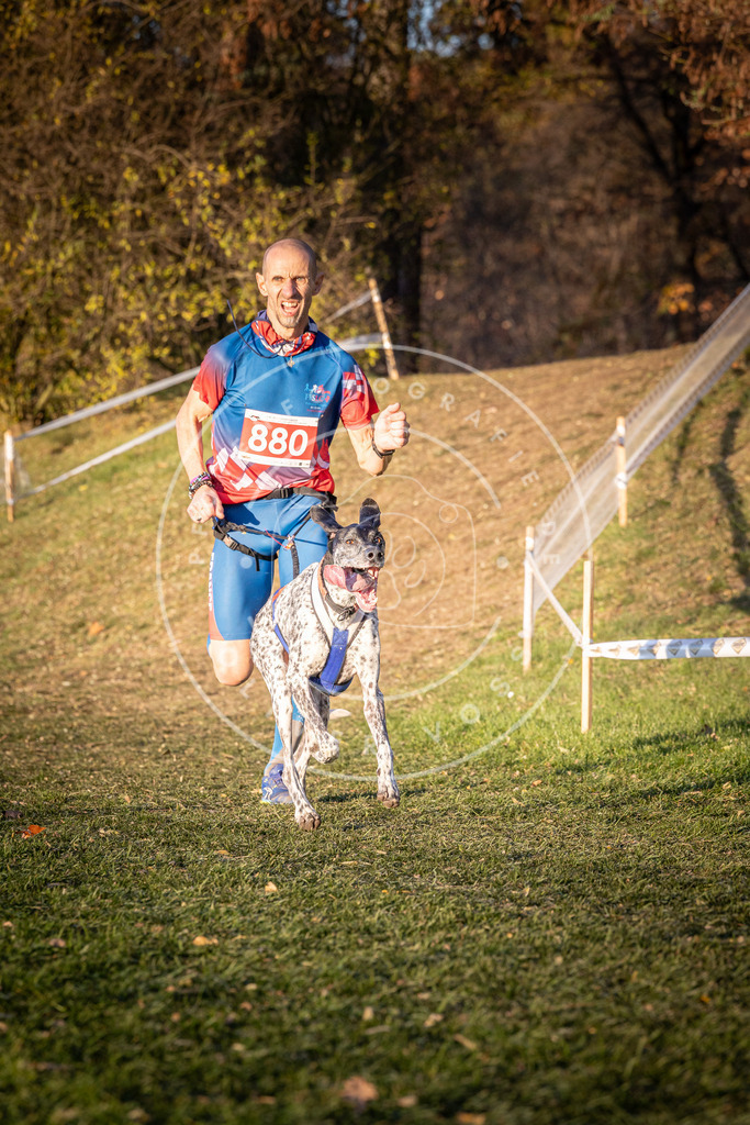 CaniXpix_0L8A1105 | Hundefotografie, Tierfotograf, Pfotenfotografie, Fotoshooting Hund, Hunde Portrait, Hundesport, Hundeportraits, Heideshooting, Hunde, Sportfotograf, Hundefotograf, Turnierhundsport, THS,  - Realisiert mit Pictrs.com