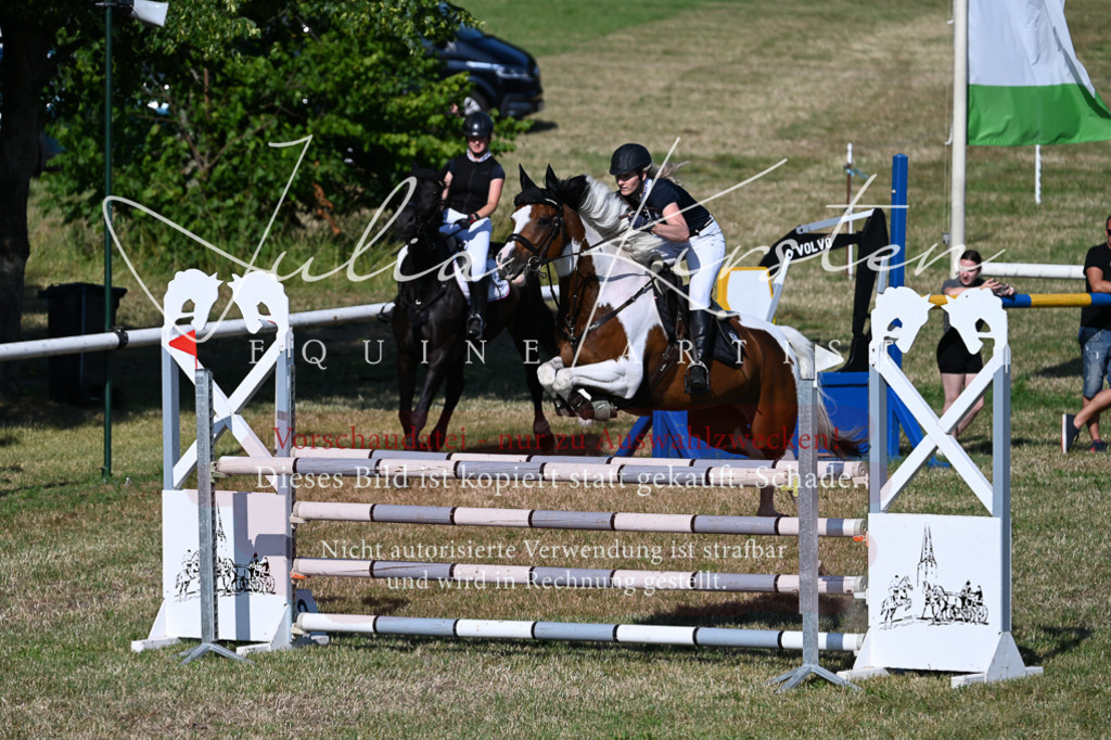 DSC_2406 | Pferde- und Turnierfotografie in Westsachsen. Pferdeportraits, Auftragszeichnungen und intuitive Kunst.