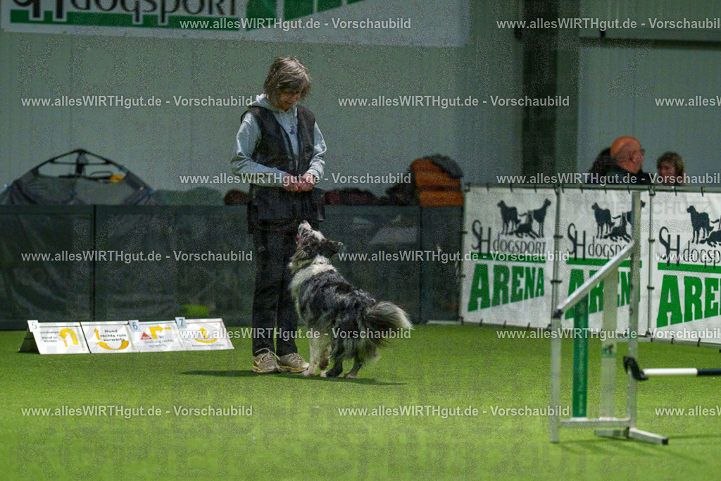 7R504440 | Professionelle Tierfotografie in Mönchengladbach von Daniel Wirth (allesWIRTHgut). Liebevolle & natürliche Bilder von Hunden & Katzen für unvergessliche Erinnerungen.