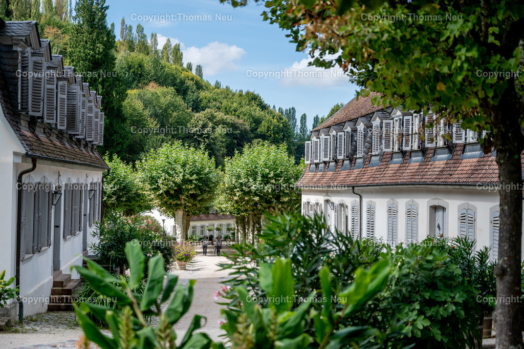 Fuerstenlager_Auerbach_Staatspark_September-7 | Der Staatspark Fürstenlager in Bensheim Auerbach, an der hessischen Bergstraße- ist ein wunderschöner Landschaftspark nach englischen Vorbild. Es war die Sommerresidenz der Darmstädter Fürstenfamilie die hier das "einfache Landleben" genossen. Zu jeder Jahreszeit kann man das Fürstenlager als Ausflugsziel empfehlen. Im Herrenhaus ist eine Gastronomie untergebracht. Im Sommer findet auf der Bühne vor der großen Wiese ein Opern-Air statt, 