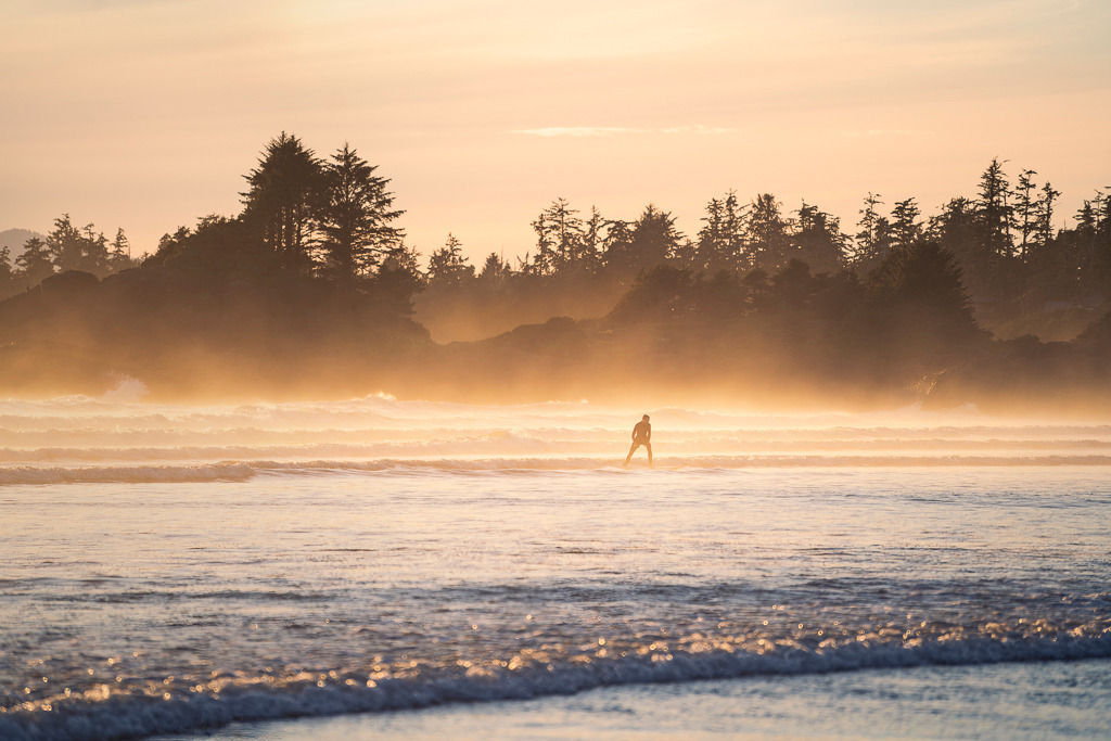 Letzte Welle – Surfer im Abendlicht von Cox Bay | Ein Surfer gleitet in der goldenen Stunde über die letzten Wellen des Tages. Umgeben vom Dunst, der über dem Pazifik liegt, wirkt die Szene am Cox Bay Beach auf Vancouver Island beinahe magisch. Das Licht des Sonnenuntergangs taucht Meer, Brandung und Küstenwald in warme Töne – ein Moment purer Ruhe und Verbundenheit mit der Natur. - Realisiert mit Pictrs.com