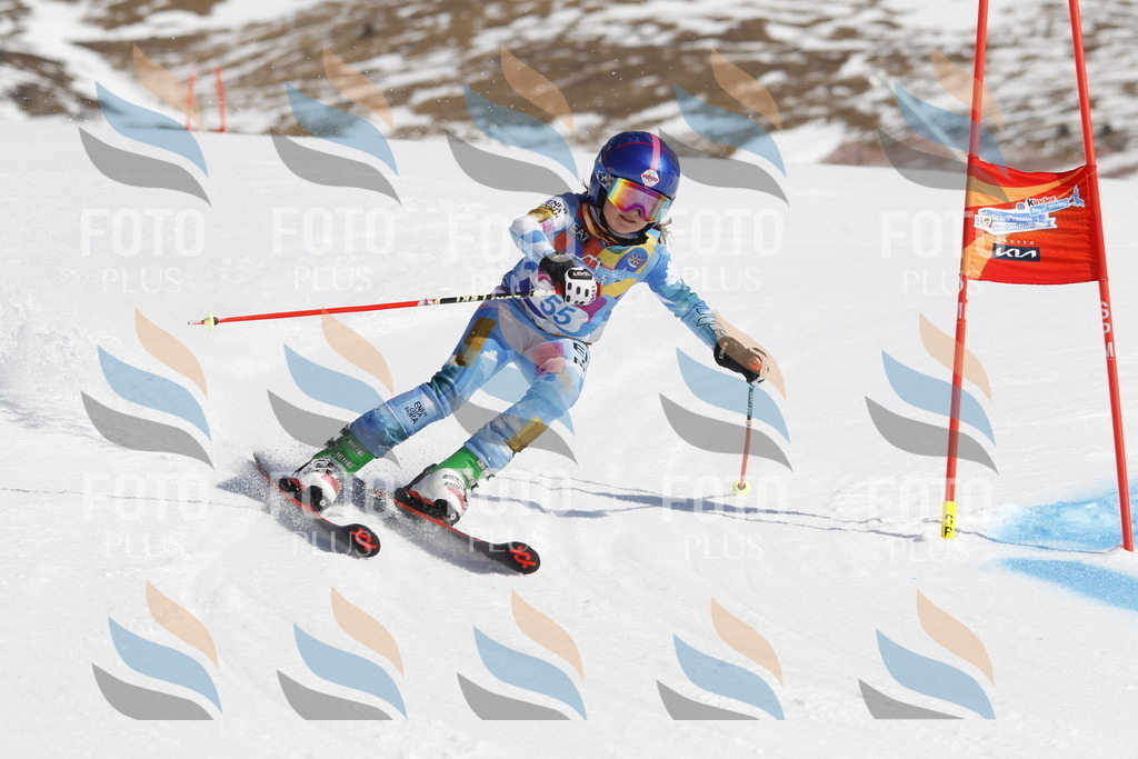 _U3G9486 | holidayphoto