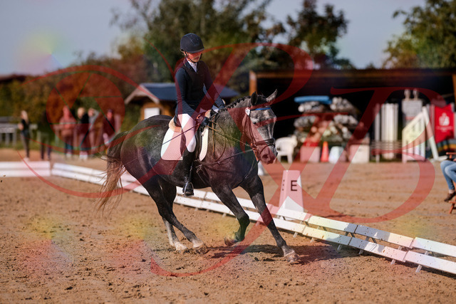 2026_10_03_Siefer-Hof_120349_Z81_06062747 | Professionelle Reitsport-, Turnier- und Eventfotografie von Robert Broda. Galerien mit ausgewählten und bearbeiteten Bildern direkt online ansehen und bestellen.