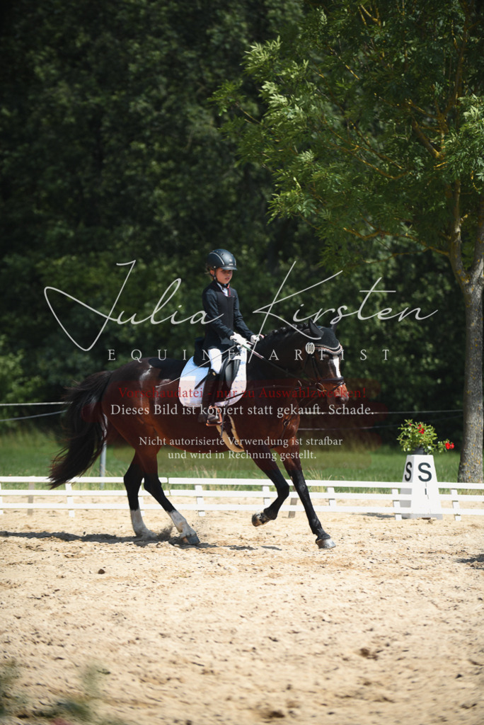 DSC_2399 | Pferde- und Turnierfotografie in Westsachsen. Pferdeportraits, Auftragszeichnungen und intuitive Kunst.