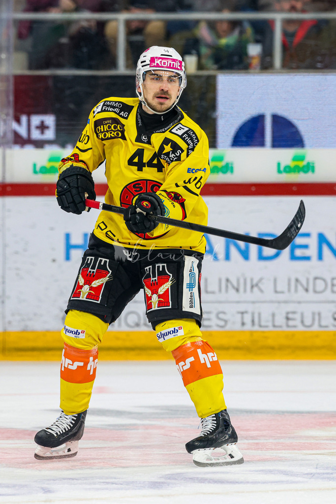 EHCB vs SCB 20260312_wb-4353 | Sportbilder, Sportfotograf, Hochzeits- und Eventfotografin, Flugshows, Portraits und Tiershooting, Aviation, Downhill, Nationalleague, Swissleague, International