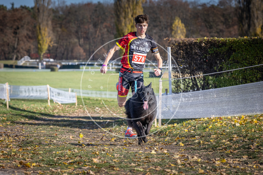 CaniXpix_DV3A8964 | Hundefotografie, Tierfotograf, Pfotenfotografie, Fotoshooting Hund, Hunde Portrait, Hundesport, Hundeportraits, Heideshooting, Hunde, Sportfotograf, Hundefotograf, Turnierhundsport, THS,  - Realisiert mit Pictrs.com