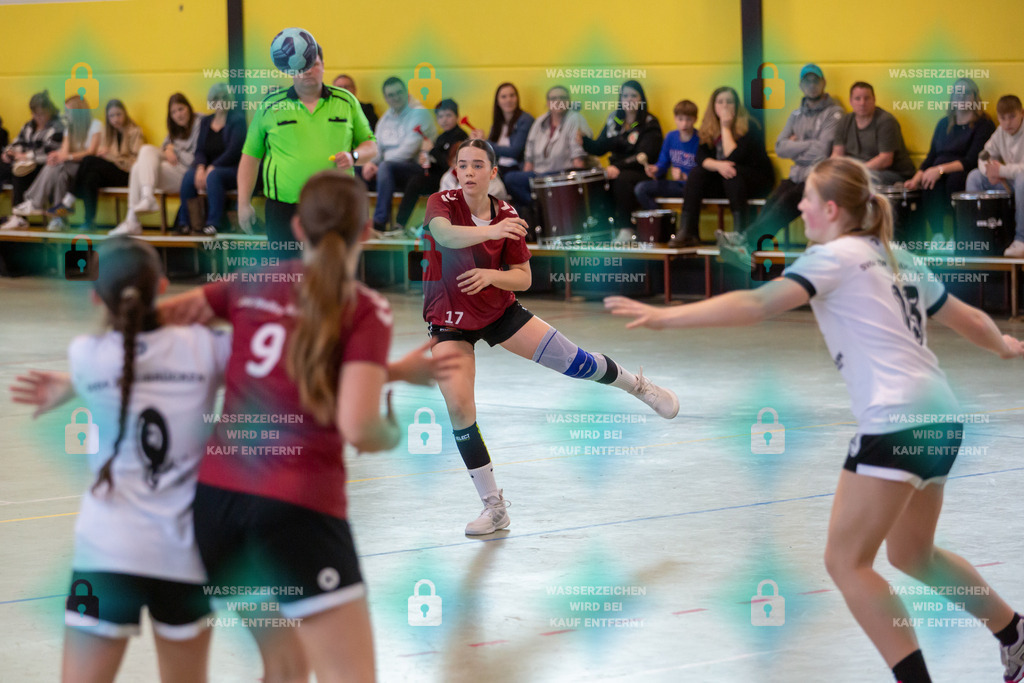 _HP_1495_3000o | JSG Welling-Bassenheim gegenAG AV 64 Zweibrücken 09.03.2024