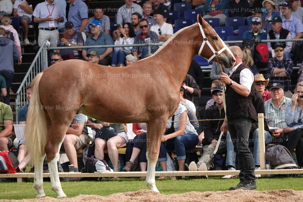 DSC04500 | Schwingen - Realisiert mit Pictrs.com