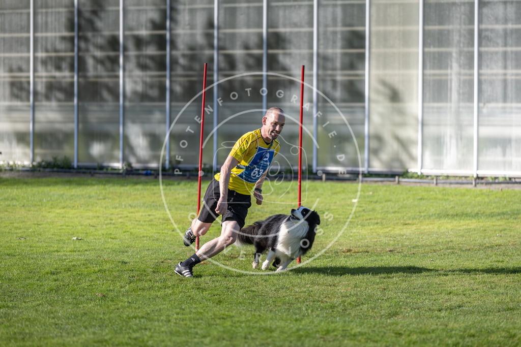 Pfotenfotografie.de_DV3A3459 | Hundefotografie, Tierfotograf, Pfotenfotografie, Fotoshooting Hund, Hunde Portrait, Hundesport, Hundeportraits, Heideshooting, Hunde, Sportfotograf, Hundefotograf, Turnierhundsport, THS, canicross - Realisiert mit Pictrs.com