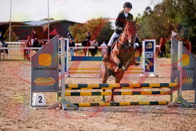 2026_10_03_Siefer-Hof_161021_Z81_89743040 | Professionelle Reitsport-, Turnier- und Eventfotografie von Robert Broda. Galerien mit ausgewählten und bearbeiteten Bildern direkt online ansehen und bestellen.