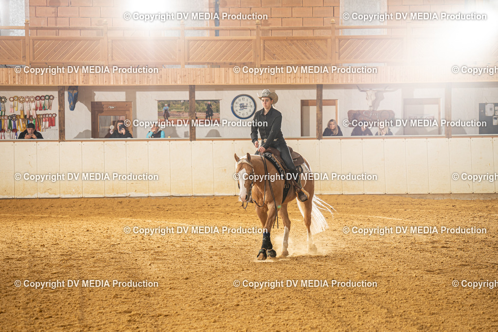 MIT00682 | dv-media-shop - Realisiert mit Pictrs.com