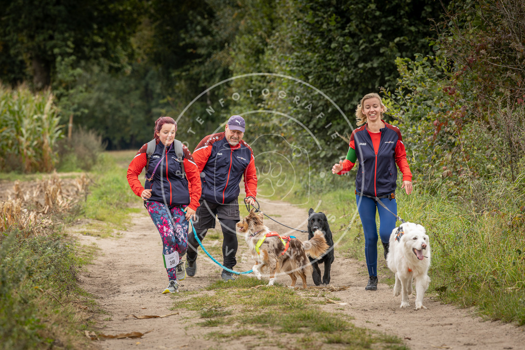 Pfotenfotografie_DV3A7986 | Hundefotografie, Tierfotograf, Pfotenfotografie, Fotoshooting Hund, Hunde Portrait, Hundesport, Hundeportraits, Heideshooting, Hunde, Sportfotograf, Hundefotograf, Turnierhundsport, THS,  - Realisiert mit Pictrs.com