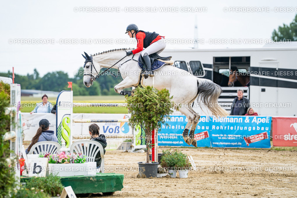 DSC07122 | Pferdegrafie