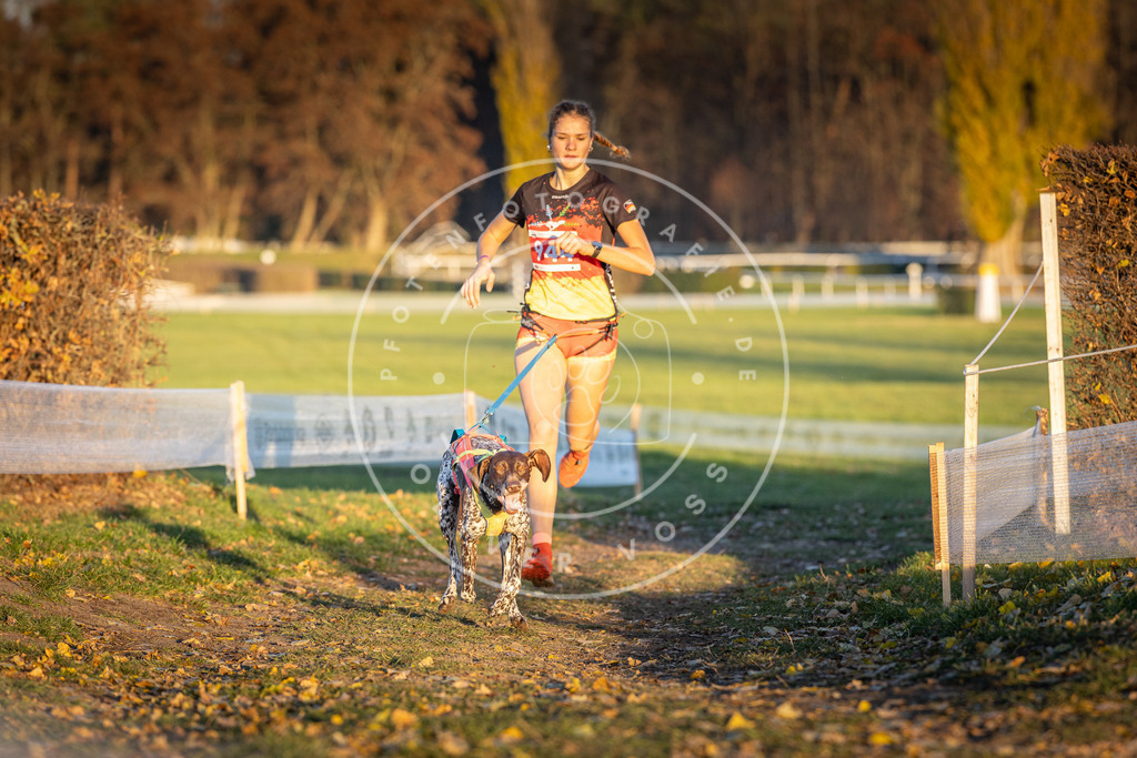 CaniXpix_DV3A5423 | Hundefotografie, Tierfotograf, Pfotenfotografie, Fotoshooting Hund, Hunde Portrait, Hundesport, Hundeportraits, Heideshooting, Hunde, Sportfotograf, Hundefotograf, Turnierhundsport, THS,  - Realisiert mit Pictrs.com