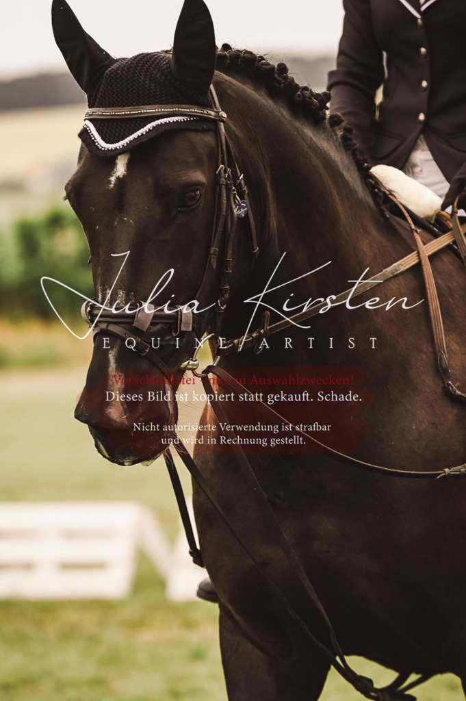 DSC_4955 | Pferde- und Turnierfotografie in Westsachsen. Pferdeportraits, Auftragszeichnungen und intuitive Kunst.
