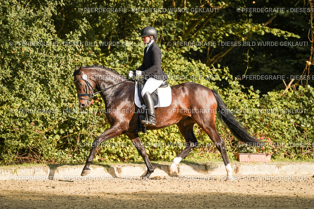 DSC05305 | Pferdegrafie