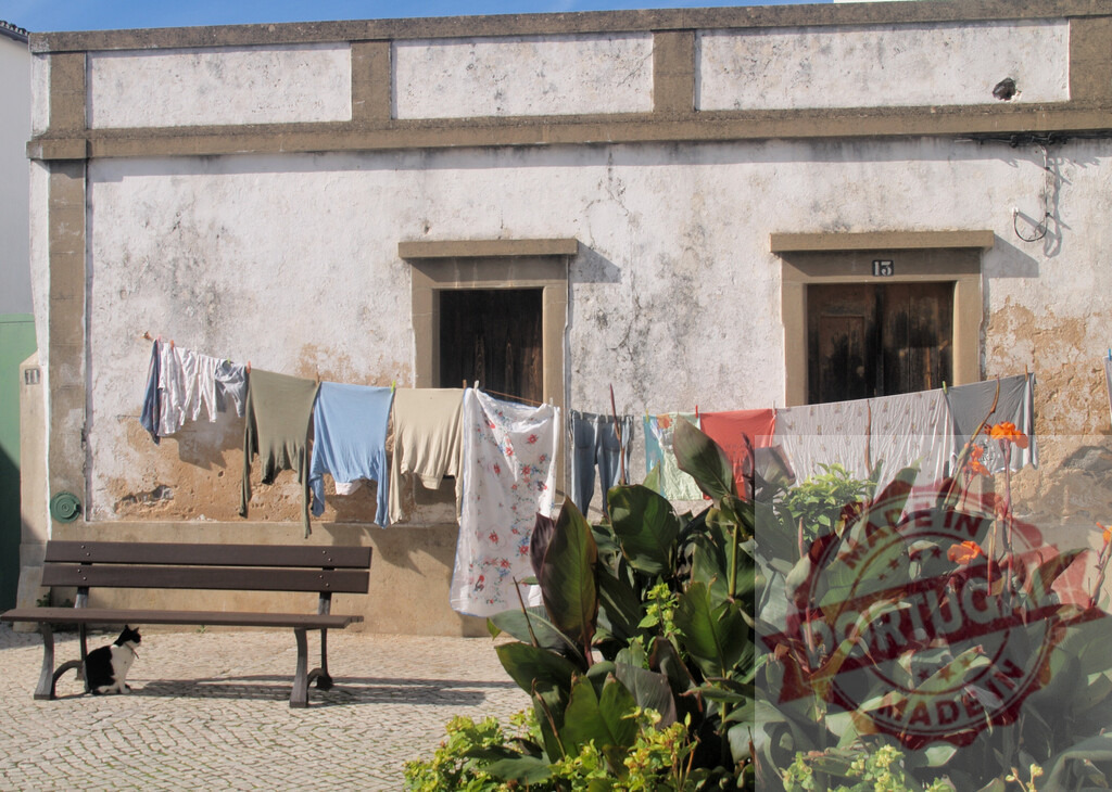 Cat resting under bench with clothes drying outside rustic house | Black and white cat resting under a bench with laundry hanging in a village scene - Realisiert mit Pictrs.com
