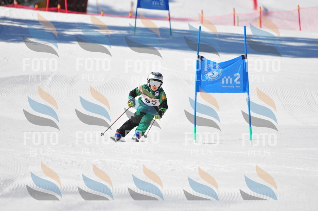 C2143 | holidayphoto