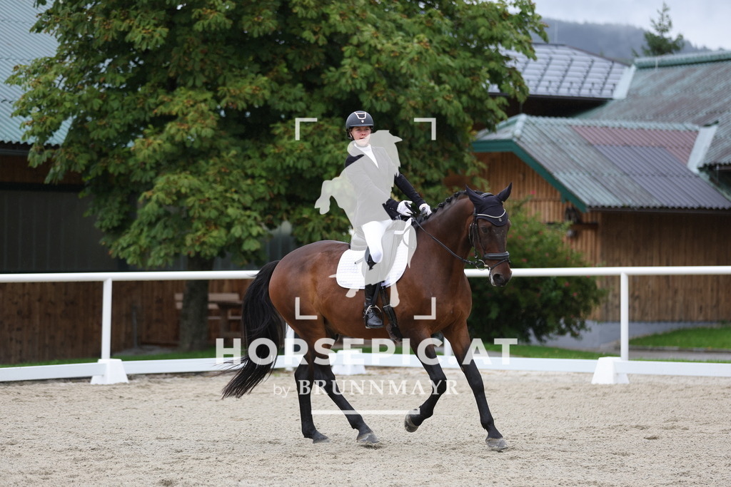 0P6A8385 | Willkommen bei Brunnmayr - Design & Fotografie – Ihrem Spezialisten für Reitturniere und Pferdeveranstaltungen in Oberösterreich, Salzburg und Bayern! Seit über 17 Jahren sind wir leidenschaftlich dabei.