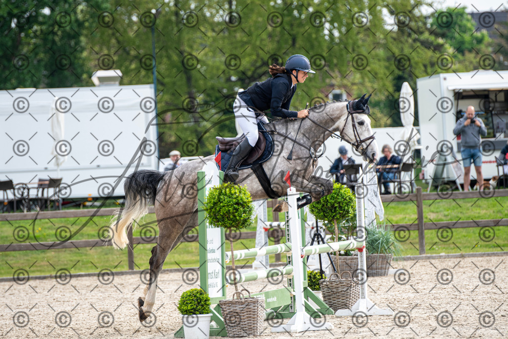 KPT_2129 | andre_photographic