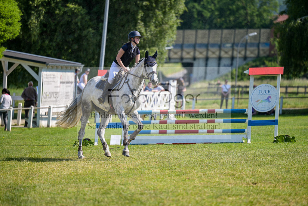 Reitturnier Voxtrup | Entdecke hochwertige Reitturnierfotos von Foto Oger. Professionell, emotional und authentisch – jetzt Lieblingsmomente im Shop bestellen.Deutschlandweite Turnierfotografie. - Realized with Pictrs.com