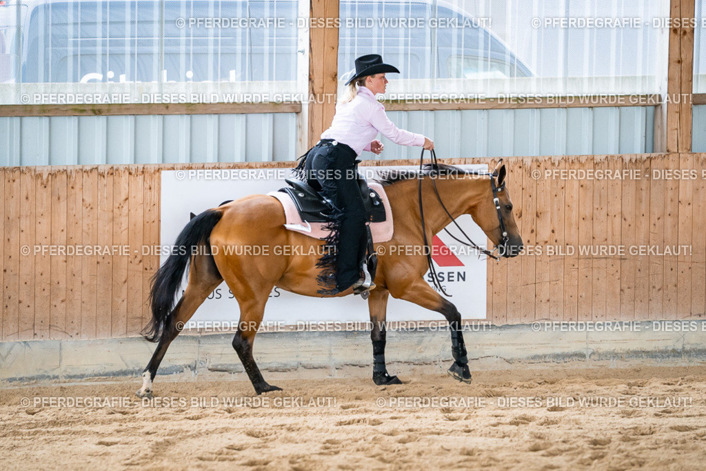 DSC09112 | Pferdegrafie