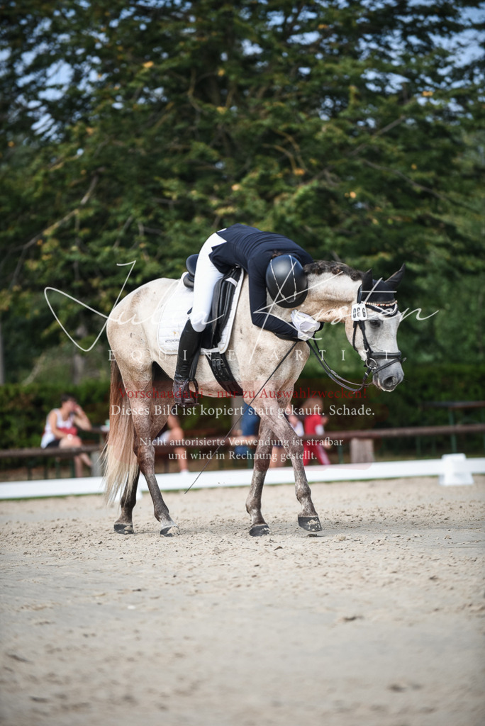 DSC_8707 | Pferde- und Turnierfotografie in Westsachsen. Pferdeportraits, Auftragszeichnungen und intuitive Kunst.
