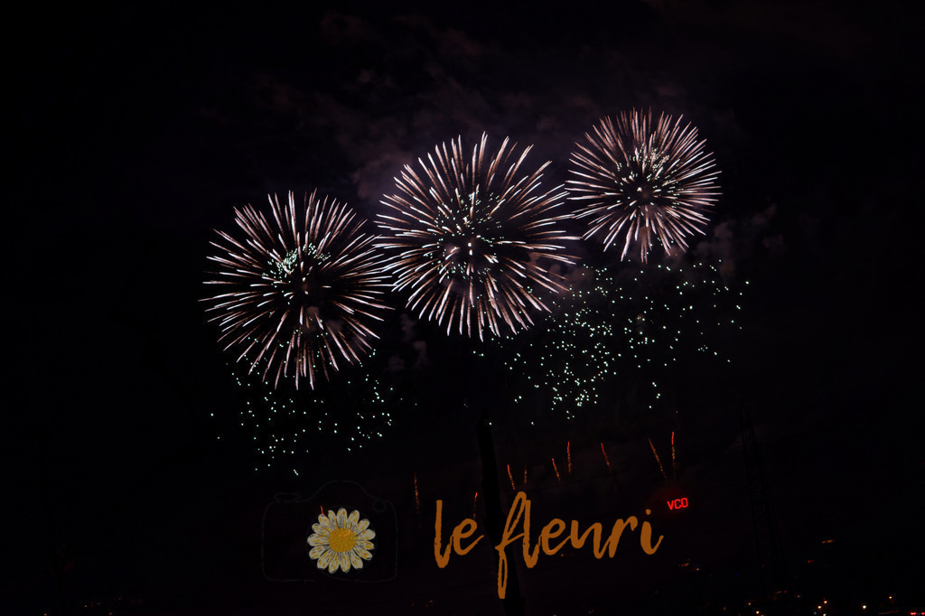 Vogelherdclub | Dies ist der Shop von Florian Blum - le fleuri. Langenthal, Bern, Schweiz. Sie können hier meine oder ihre eigenen Fotos als Fotoprodukte kaufen. Tassen, Schlüsselanhänger, Taschen etc. können Sie hier gestalten.  - Realisiert mit Pictrs.com