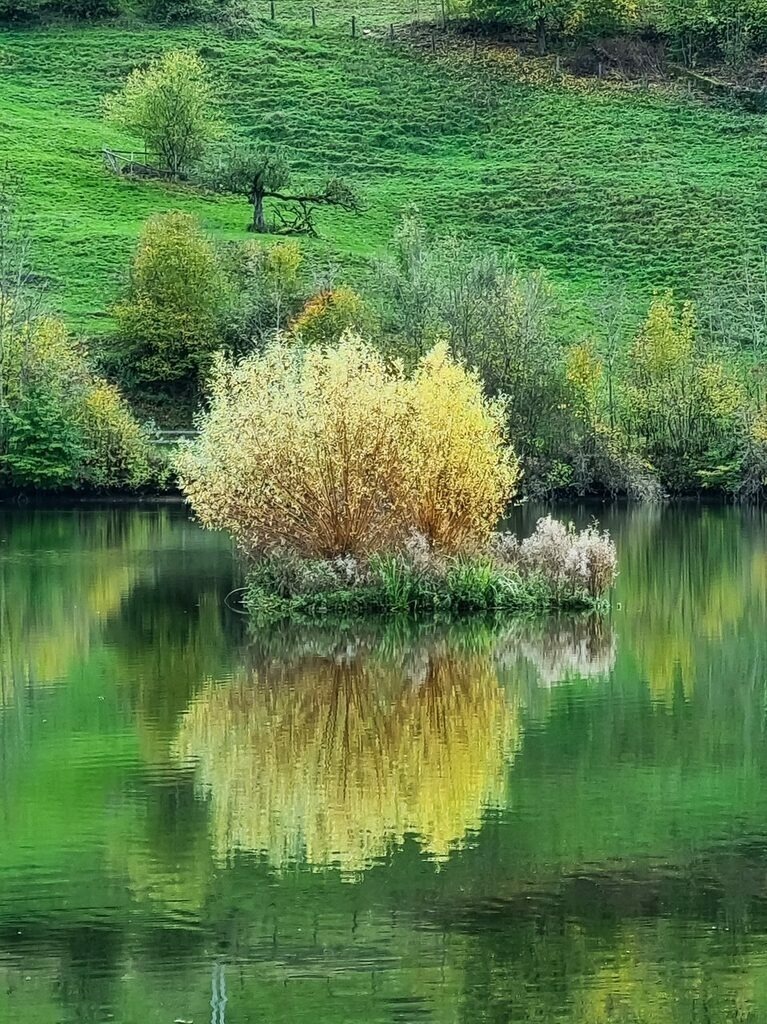 PSX_20221023_221944 | mtkfoto_ - Realisiert mit Pictrs.com