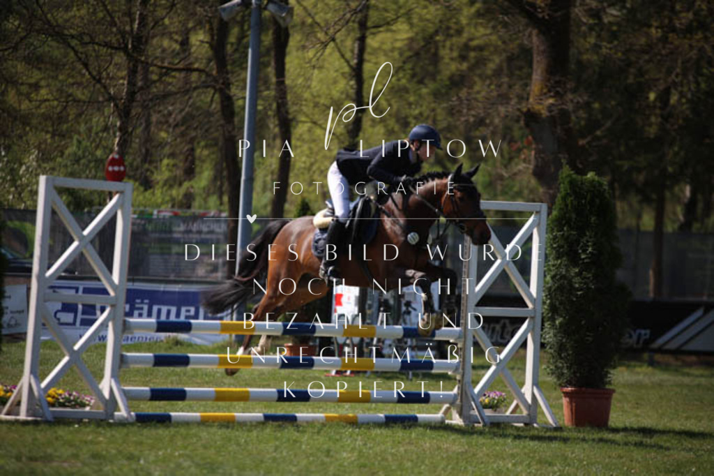 IMGT5670 | pl-fotografie