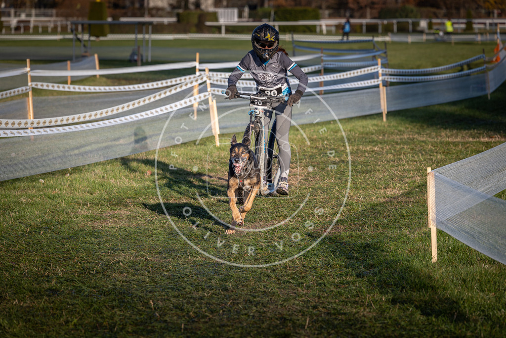 CaniXpix_0L8A3899 | Hundefotografie, Tierfotograf, Pfotenfotografie, Fotoshooting Hund, Hunde Portrait, Hundesport, Hundeportraits, Heideshooting, Hunde, Sportfotograf, Hundefotograf, Turnierhundsport, THS,  - Realisiert mit Pictrs.com