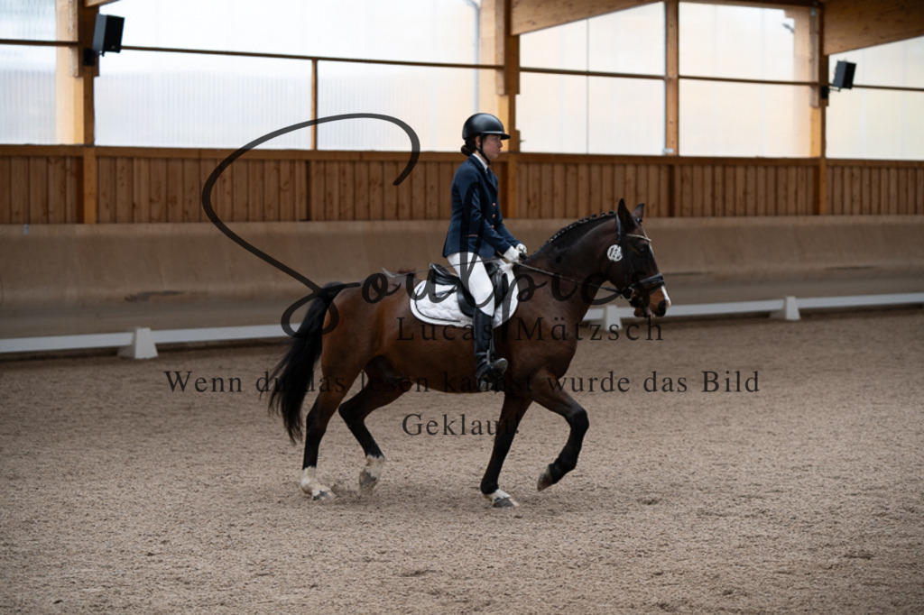 A7V02671 | Pferdefotograf